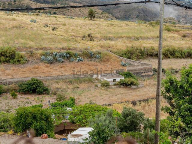 Terreno, Almatriche, Las Palmas de Gran Canaria
