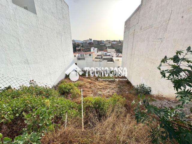 Terreno, Almatriche, Las Palmas de Gran Canaria