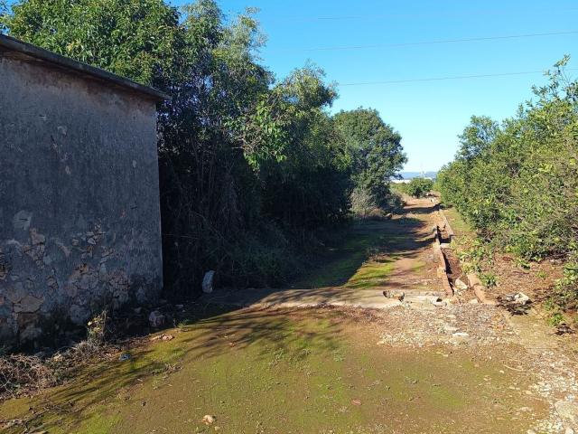Terreno, Almazora/Almassora