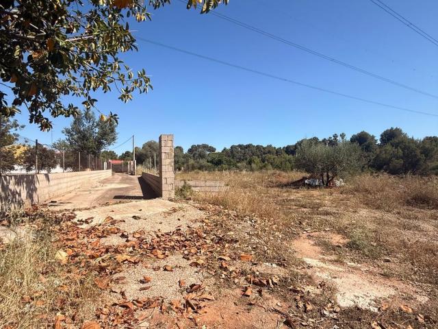 Terreno, Almazora/Almassora
