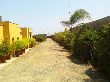 Terreno, almacen, casa de playa Chilca 3856m2