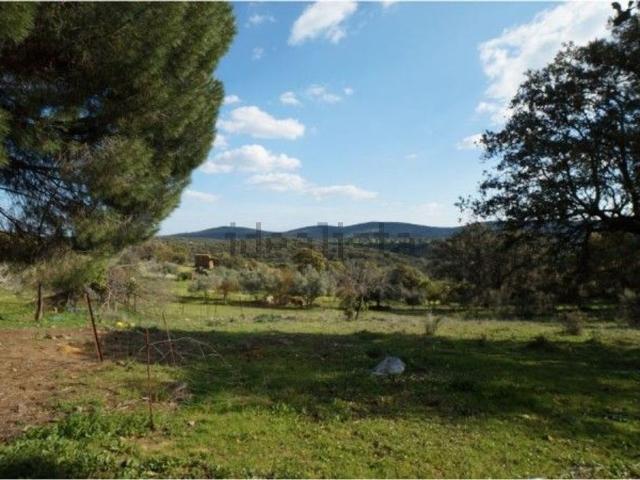 Terreno, Almadén