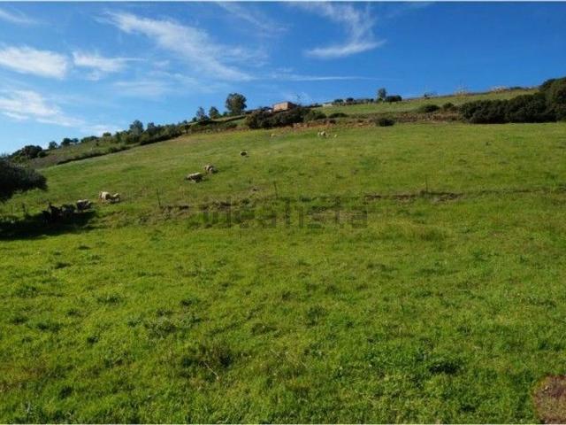 Terreno, Almadén