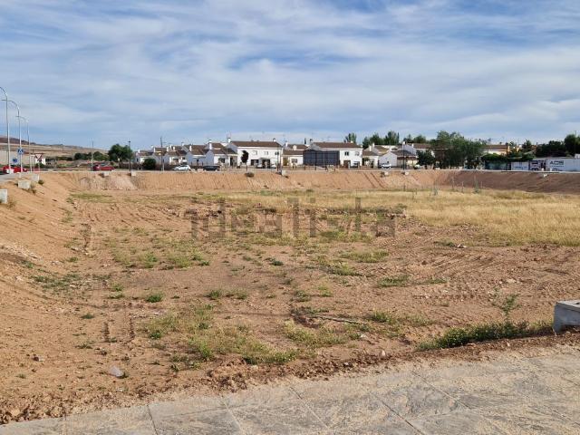 Terreno, Almagro