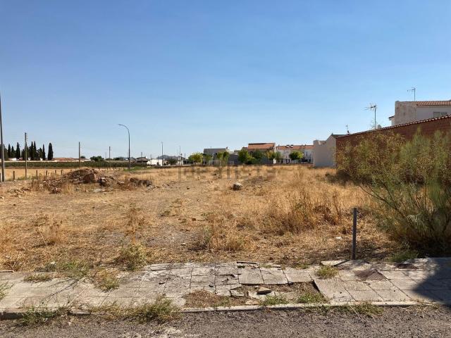 Terreno, Almagro