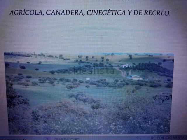 Terreno, Almagro