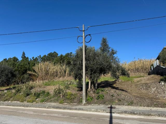 Terreno, Almagreira, Pombal | BPI Expresso Imobiliário