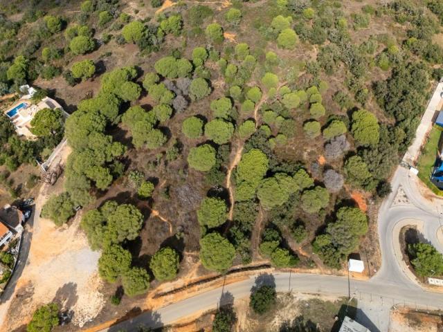 Terreno, Almancil, Loulé | BPI Expresso Imobiliário