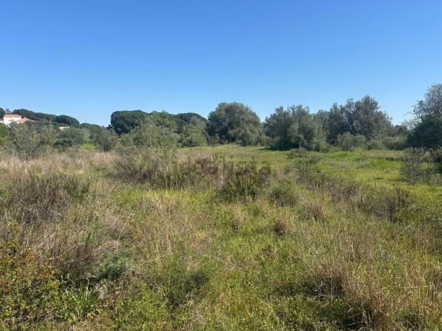 Terreno, Almancil