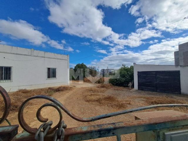 Terreno, Almancil
