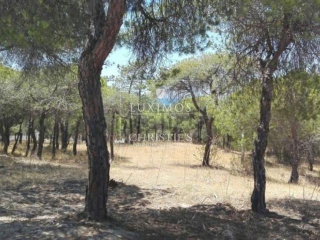 Terreno, Almancil