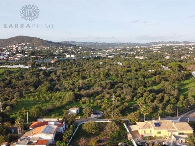 Terreno, Almancil