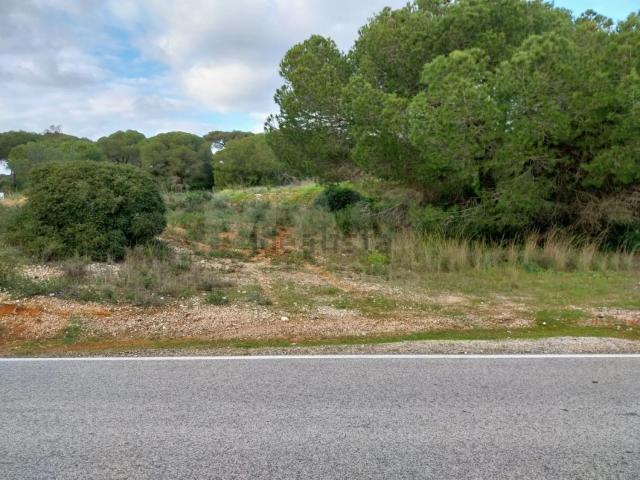 Terreno, Almancil