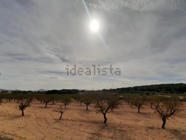 Terreno, Almansa