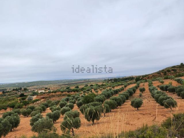 Terreno, Almansa