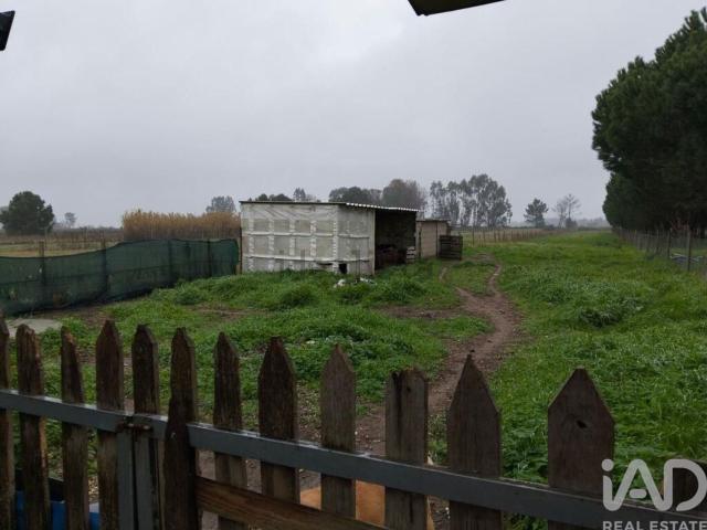 Terreno, Almeirim