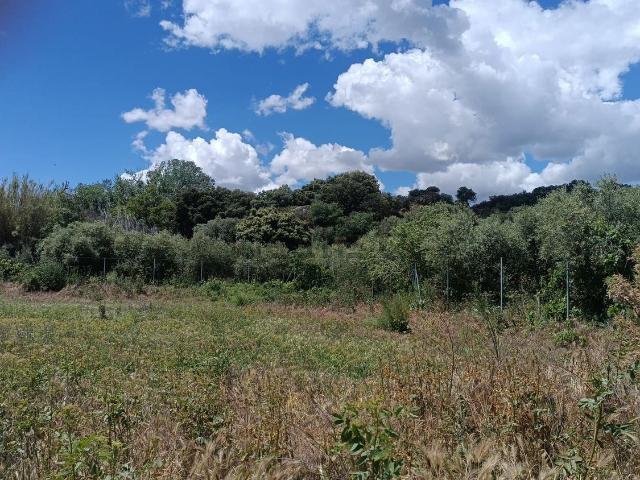 Terreno, Almunia de San Juan