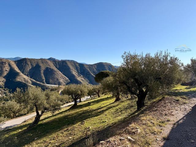 Terreno, Almuñécar