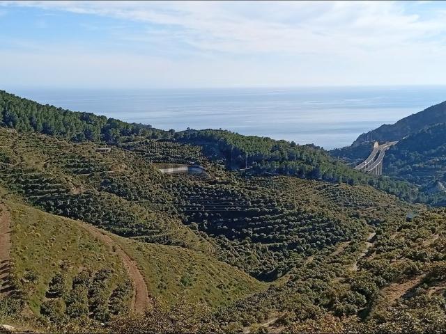 Terreno, Almuñécar