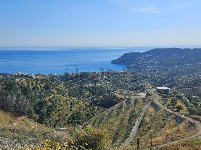 Terreno, Almuñécar