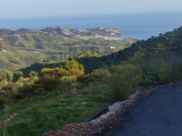 Terreno, Almuñécar