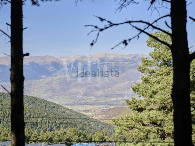 Terreno, Alp