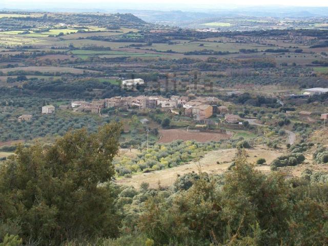 Terreno, Alquézar