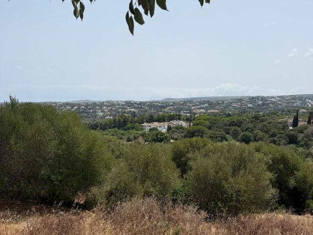 Terreno, Alto de los Monteros, Marbella