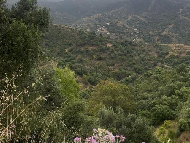 Terreno, Alto de los Monteros, Marbella