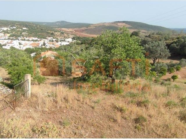 Terreno, Alte