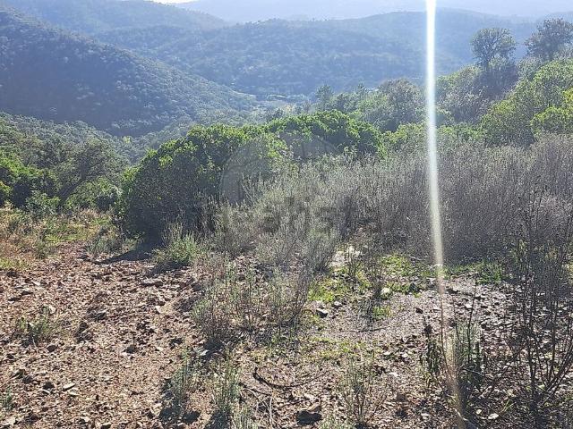 Terreno, Alte
