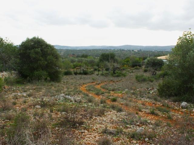 Terreno, Alte