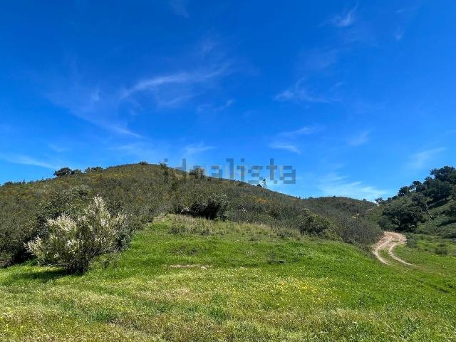 Terreno, Alte