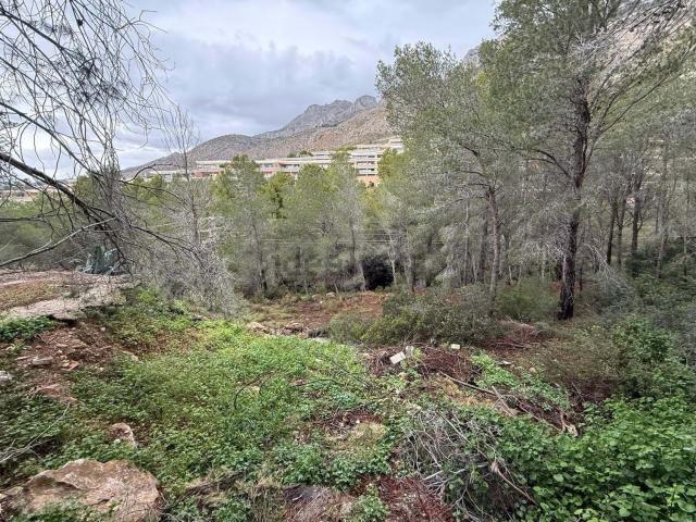 Terreno, Altea