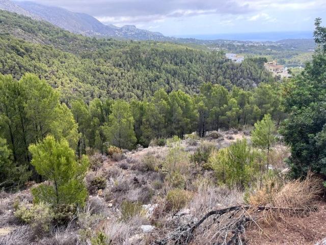 Terreno, Altea