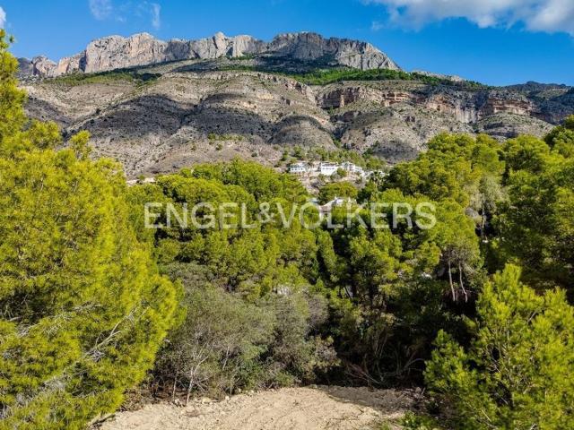Terreno, Altea