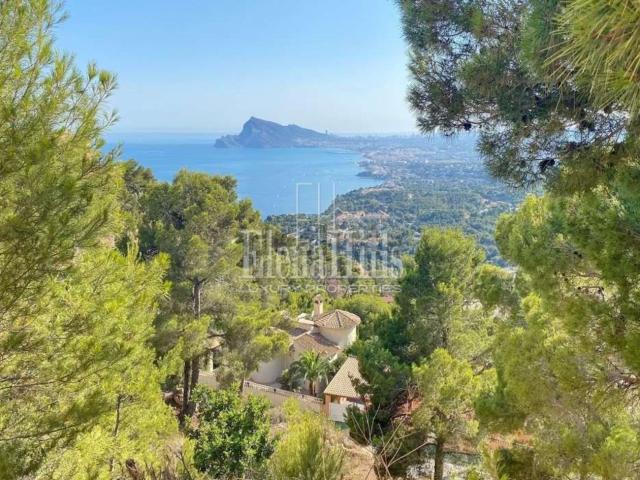 Terreno, Altea