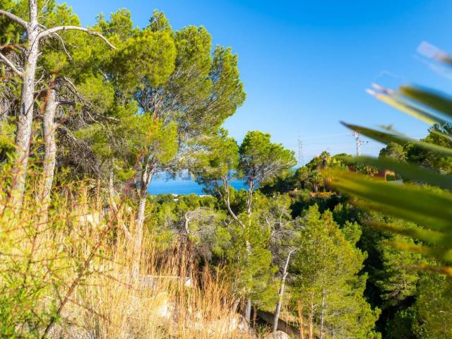 Terreno, Altea