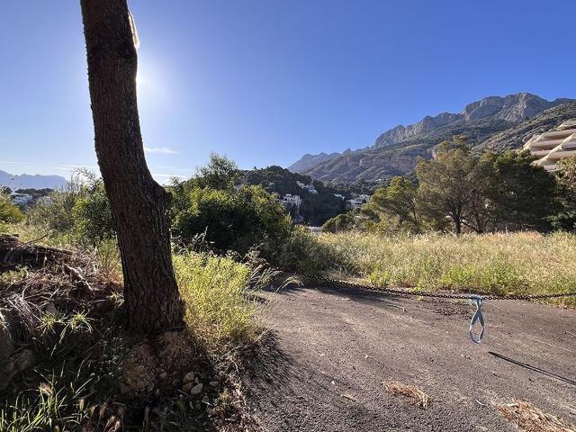 Terreno, Altea