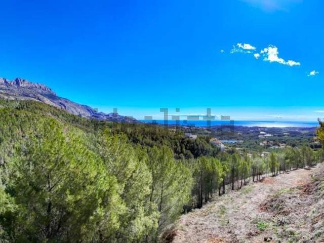 Terreno, Altea
