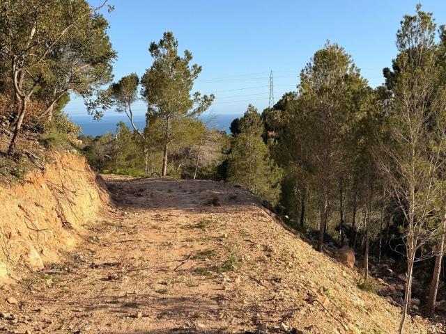 Terreno, Altea