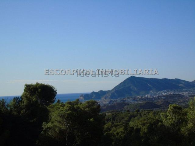 Terreno, Altea