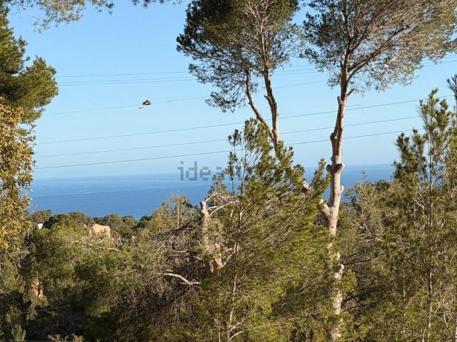Terreno, Altea