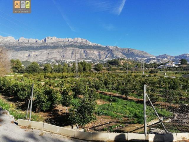 Terreno, Altea
