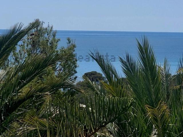 Terreno, Altea