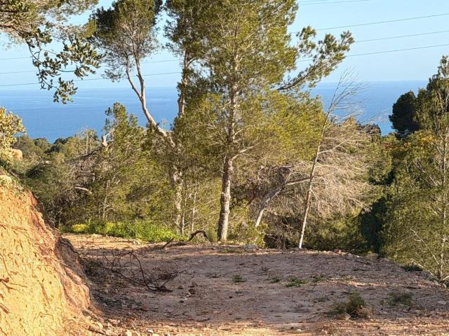 Terreno, Altea