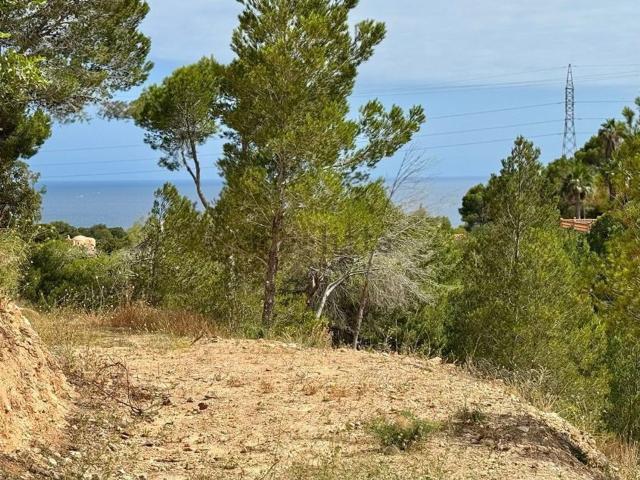 Terreno, Altea