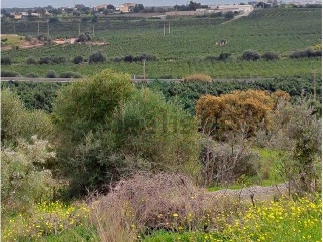 Terreno, Altura