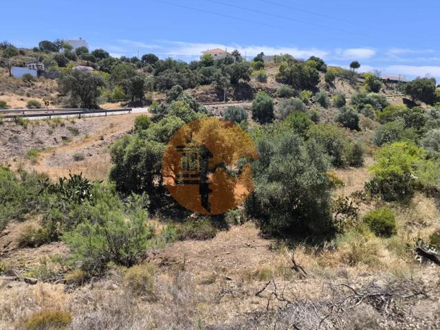 Terreno, Altura