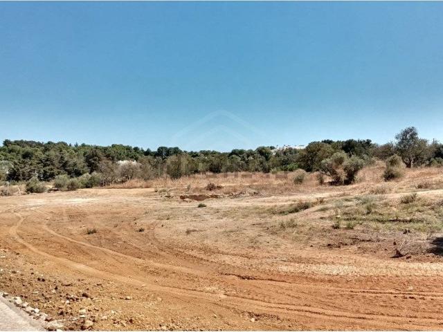 Terreno, Alvor